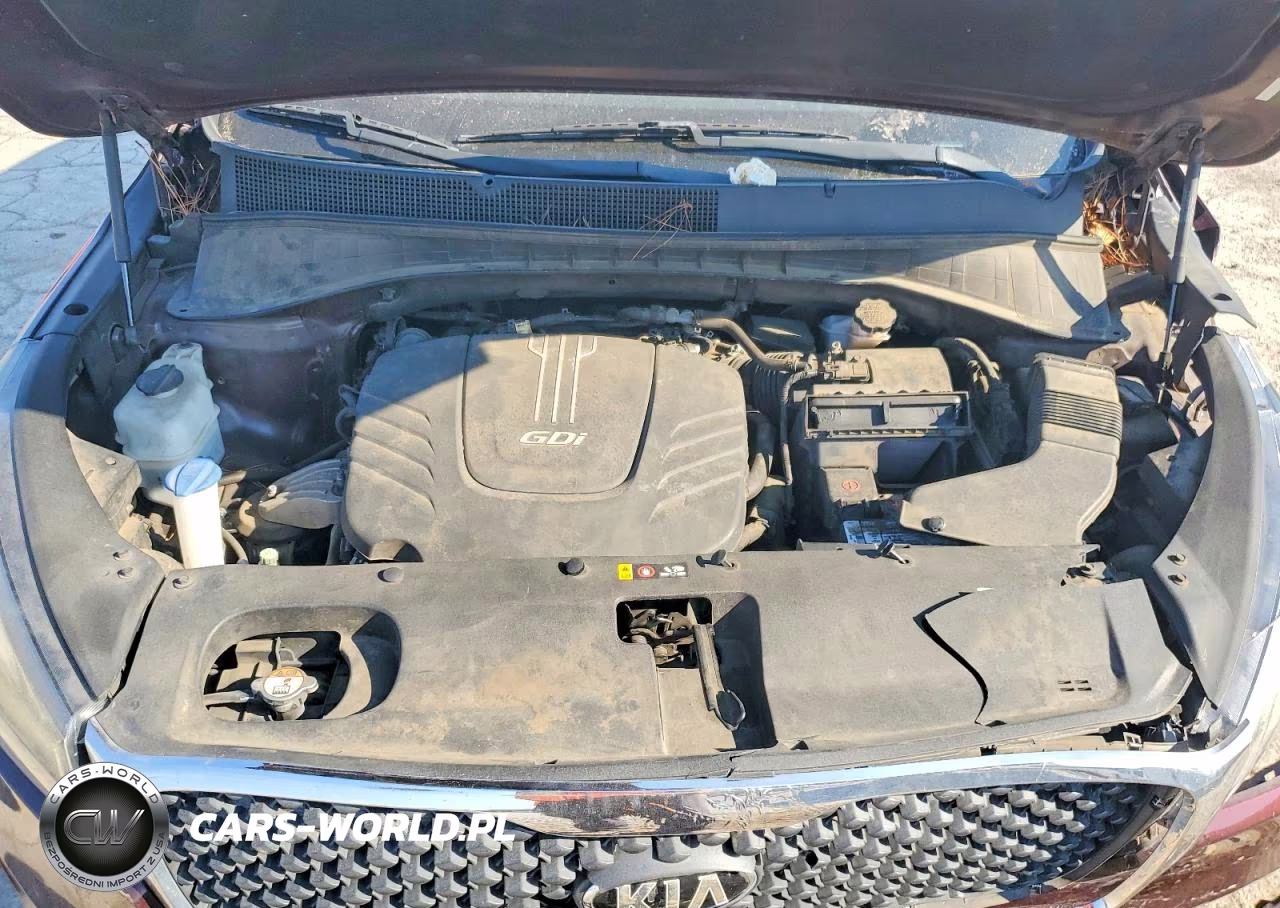 2017 Kia Sorento Lx V6 VIN:5XYPGDA58HG325450 - 12
