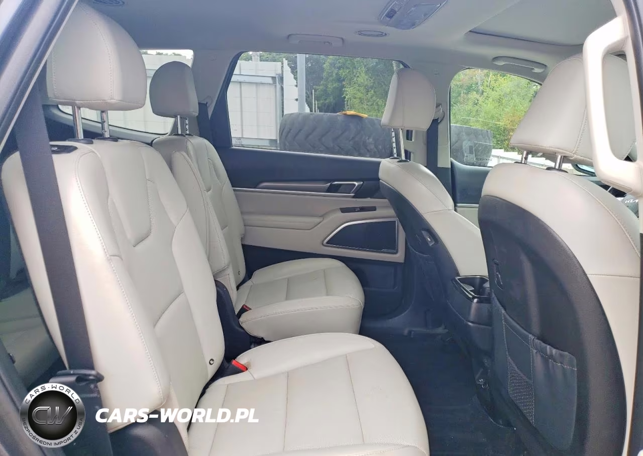 2022 Kia Telluride S VIN:5XYP6DHC4NG256243 - 11
