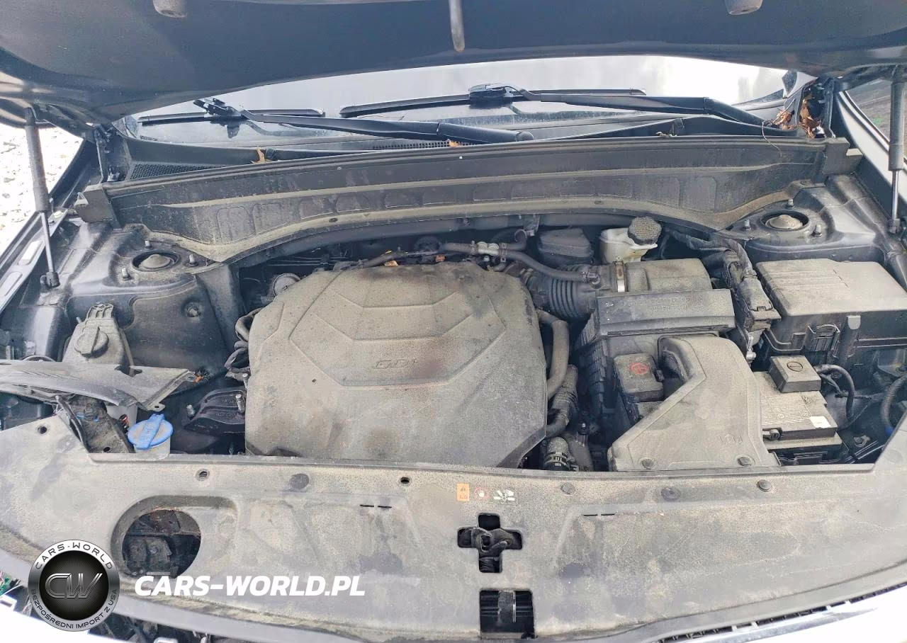 2022 Kia Telluride S VIN:5XYP6DHC4NG256243 - 12