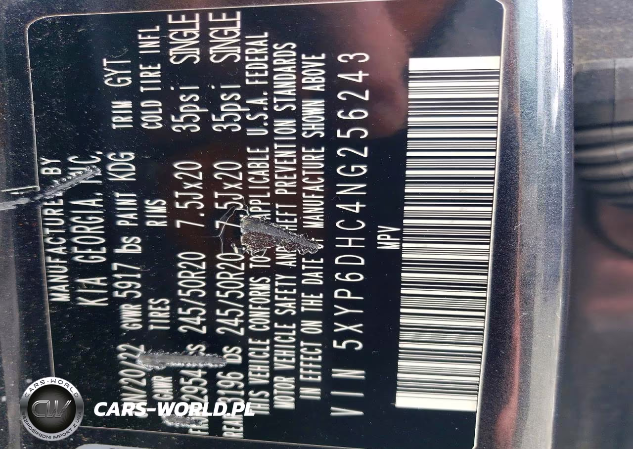 2022 Kia Telluride S VIN:5XYP6DHC4NG256243 - 13