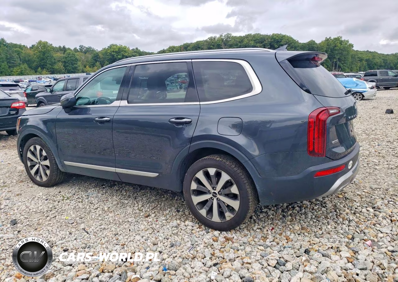 2022 Kia Telluride S VIN:5XYP6DHC4NG256243 - 2