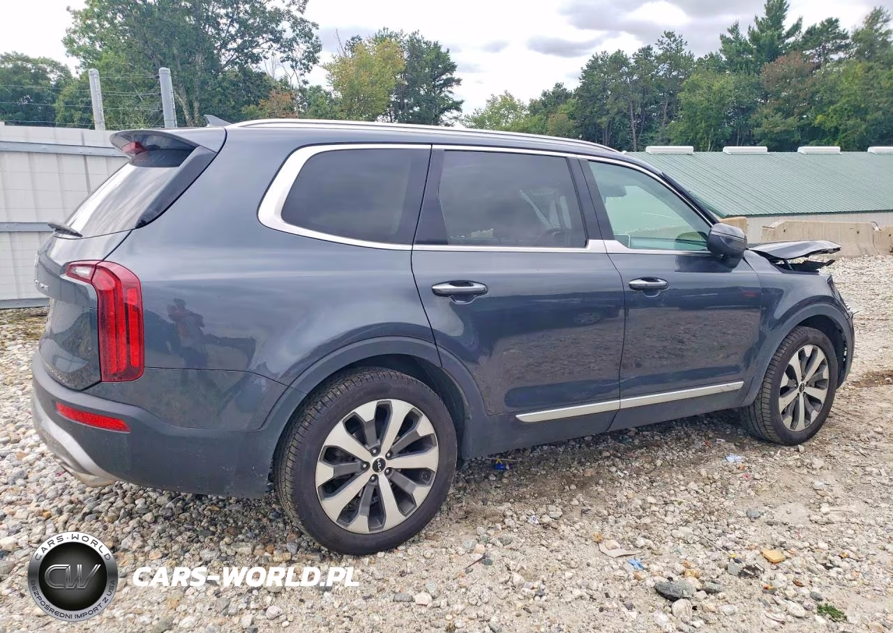 2022 Kia Telluride S VIN:5XYP6DHC4NG256243 - 3