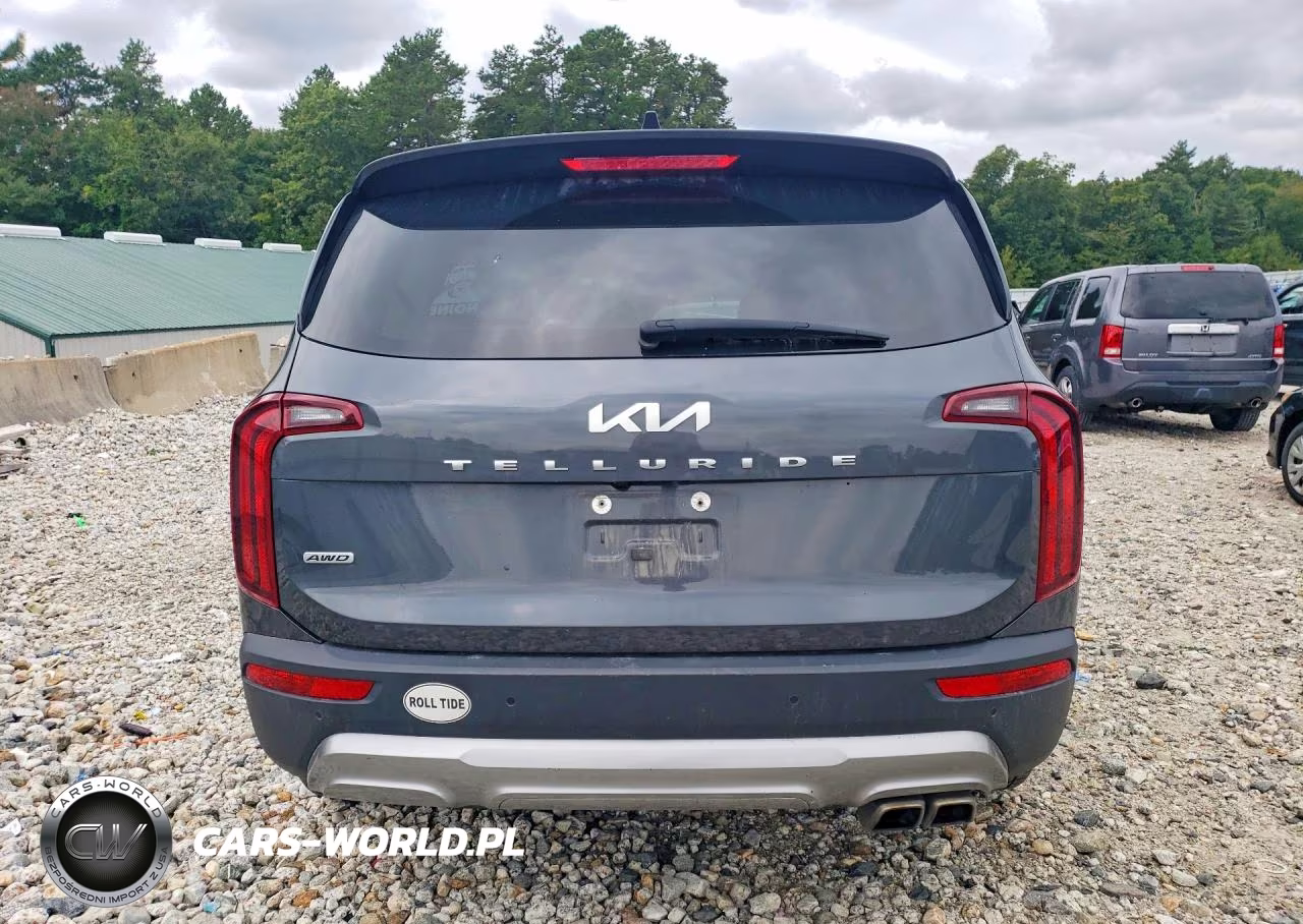 2022 Kia Telluride S VIN:5XYP6DHC4NG256243 - 6