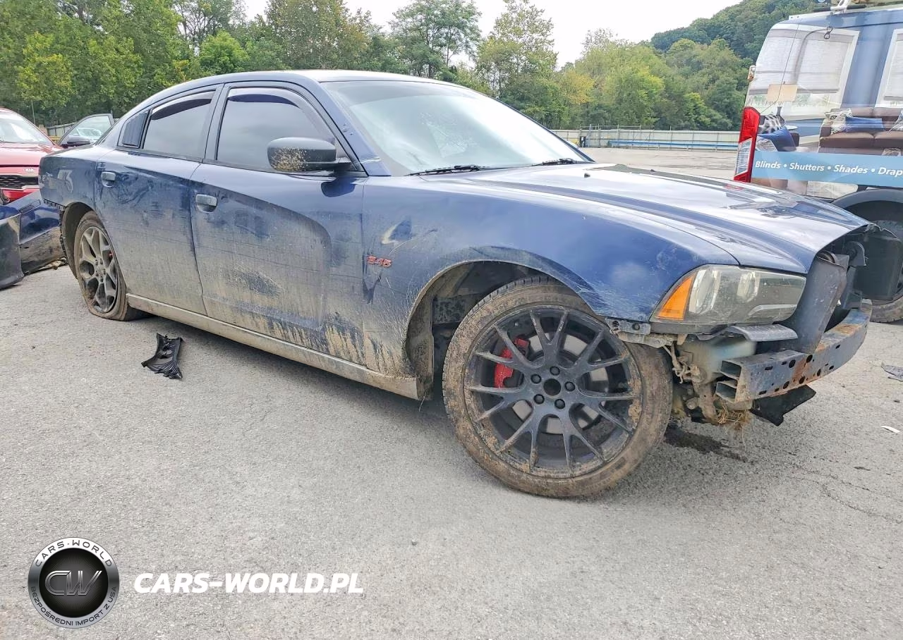 2013 Dodge Charger Police VIN:2C3CDXAT1DH665014 - 4