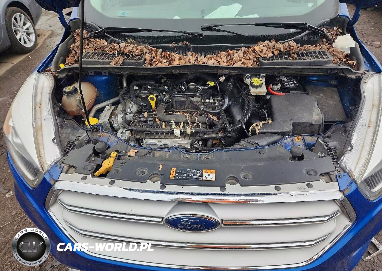 2018 Ford Escape Sel VIN:1FMCU0HD1JUD57587 - 12