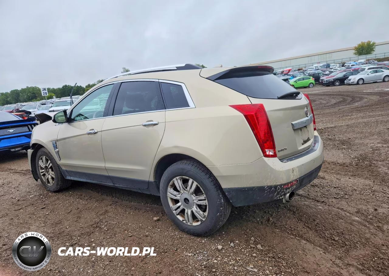 2011 Cadillac Srx Luxury Collection VIN:3GYFNAEY5BS515713 - 2
