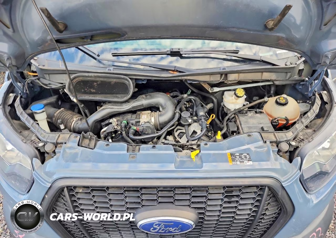 2021 Ford Transit Delivery Truck VIN:1FDDF6P85MKA70517 - 12