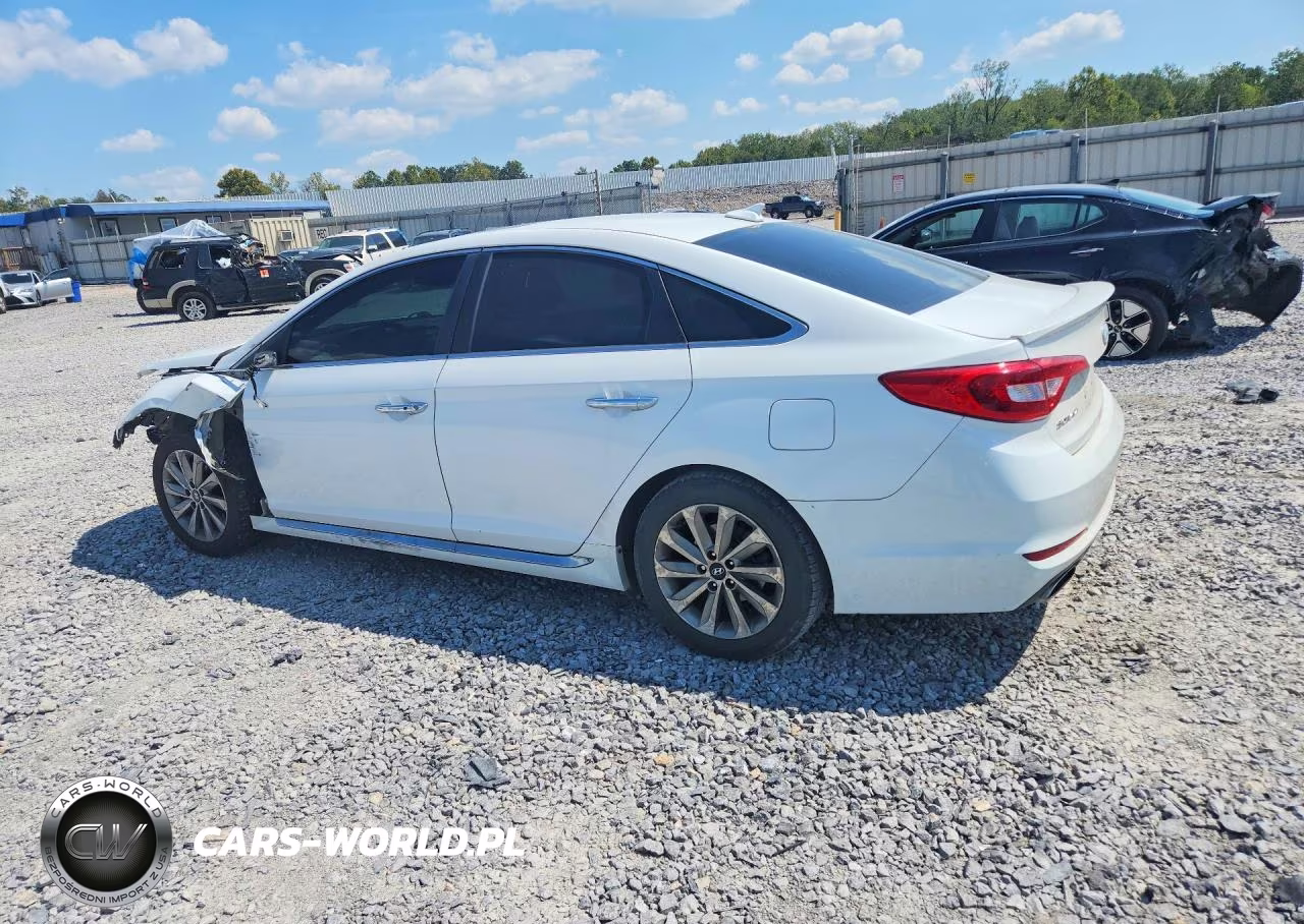2017 Hyundai Sonata Sport VIN:5NPE34AF4HH507697 - 2