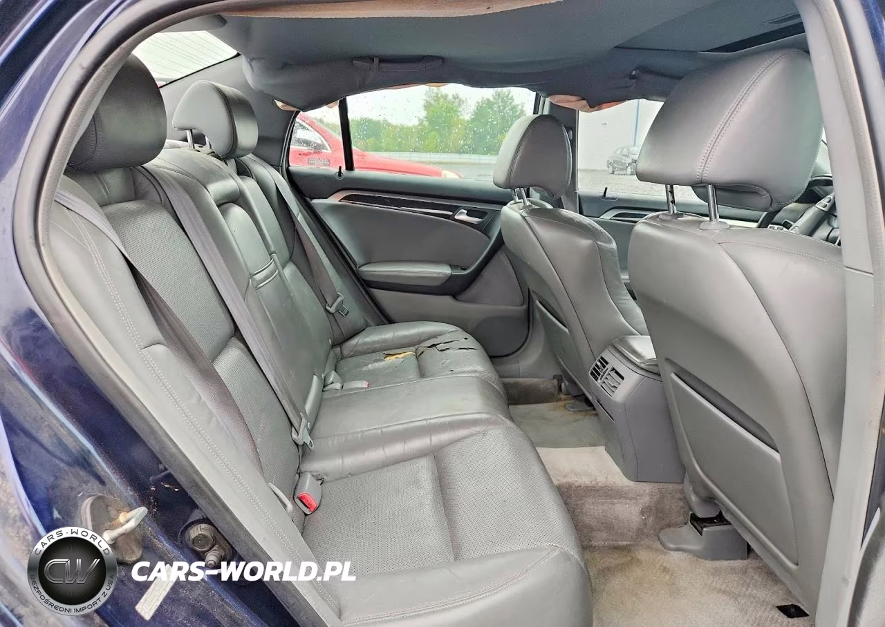 2006 Acura 3.2Tl VIN:19UUA66256A028889 - 10