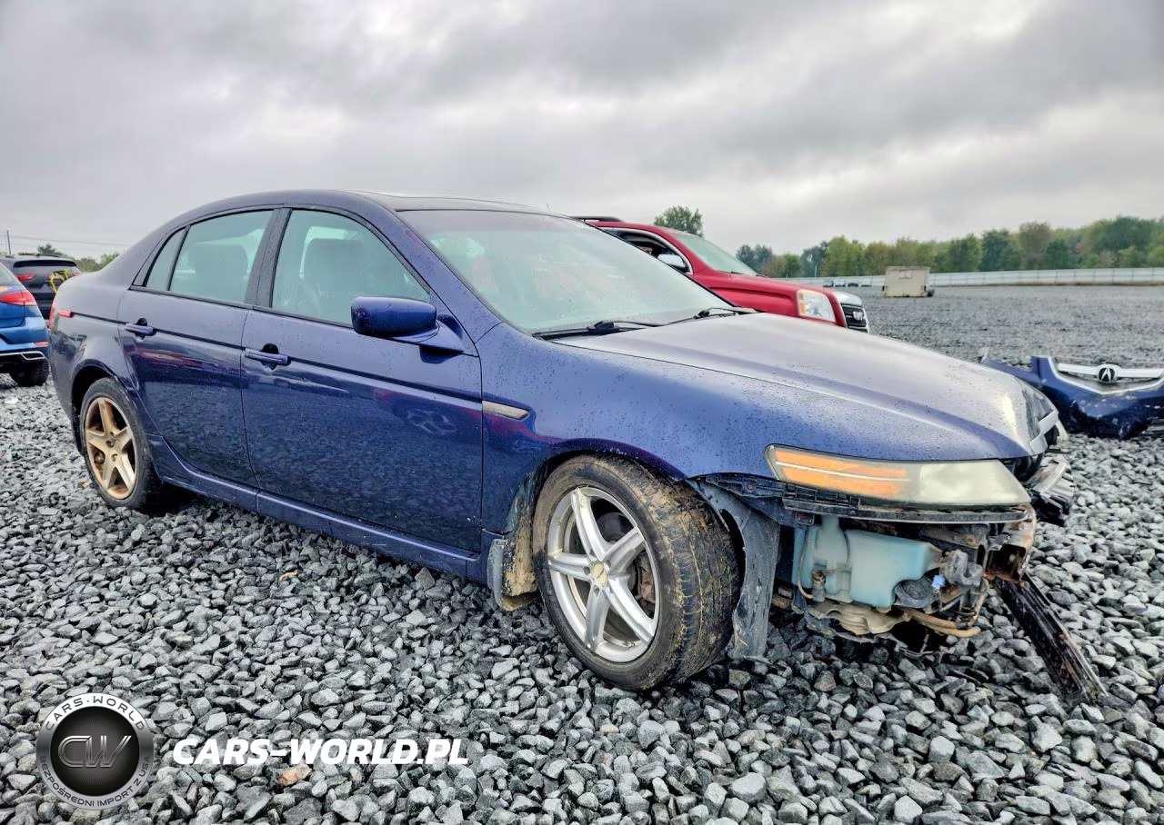 2006 Acura 3.2Tl VIN:19UUA66256A028889 - 4