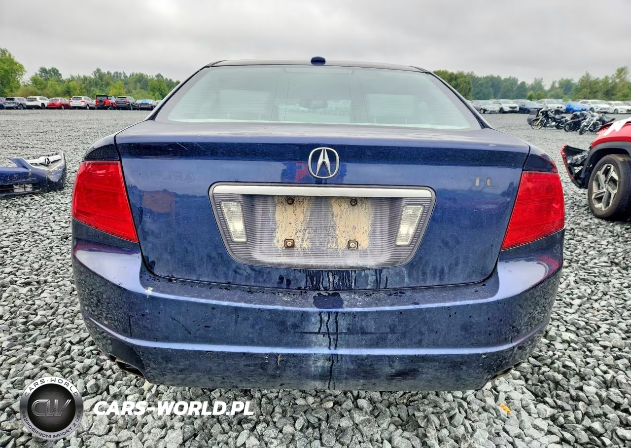 2006 Acura 3.2Tl VIN:19UUA66256A028889 - 6