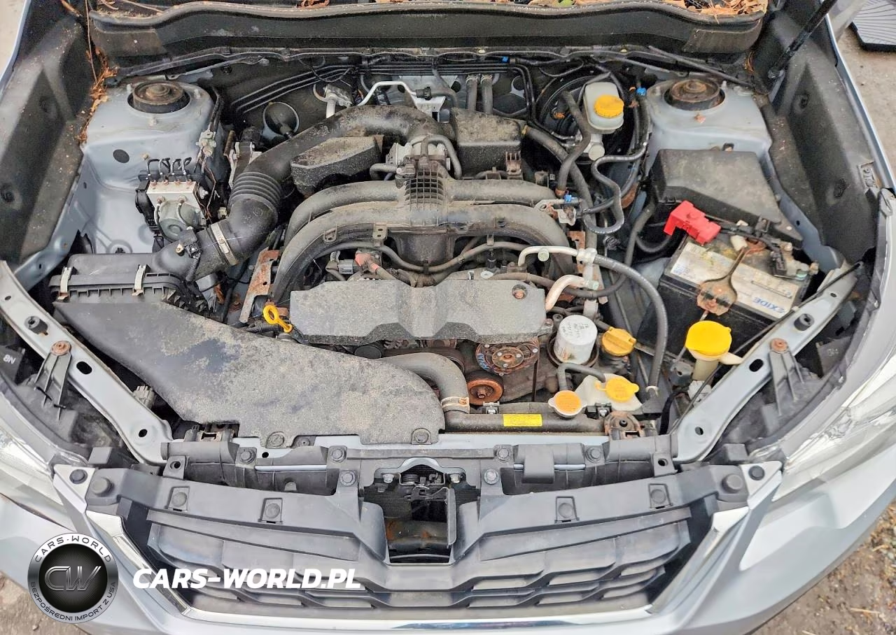 2017 Subaru Forester 2.5I Premium VIN:JF2SJAEC6HH519874 - 12