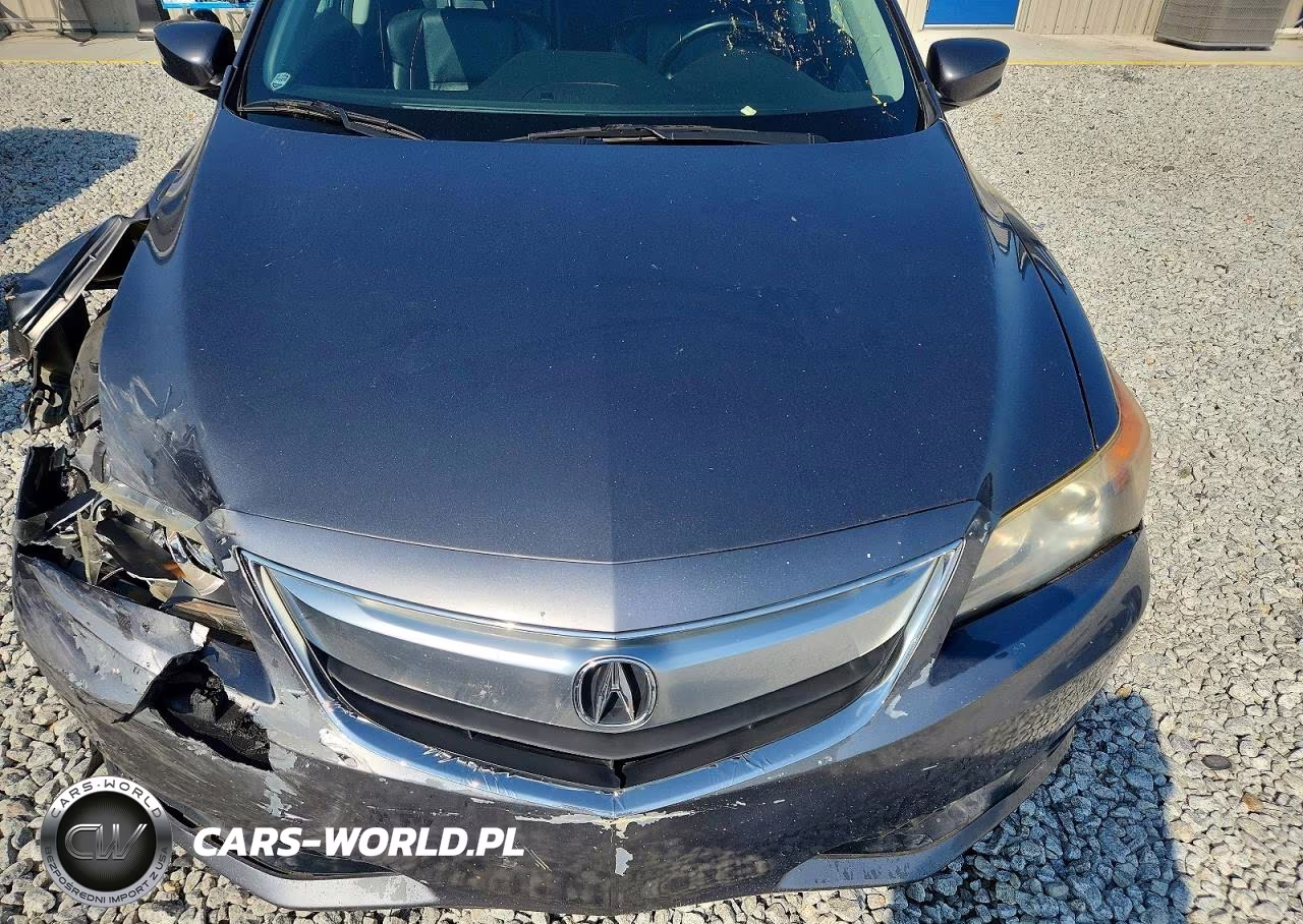 2013 Acura Ilx 20 Premium VIN:19VDE1F59DE003836 - 11