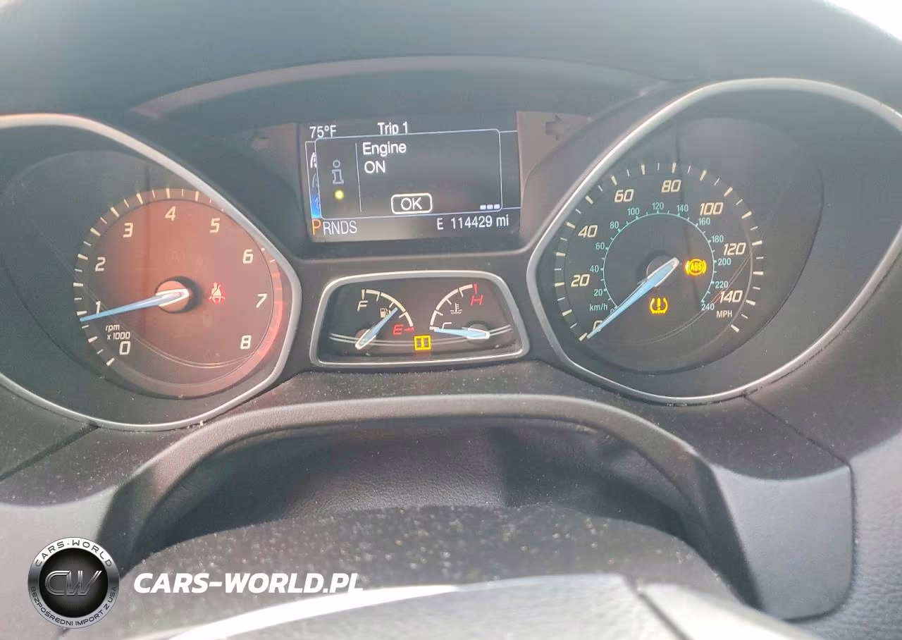 2014 Ford Focus Titanium VIN:1FADP3N27EL191873 - 9