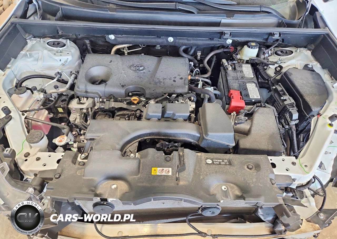2024 Toyota Rav4 Xle VIN:2T3P1RFV3RW438880 - 12