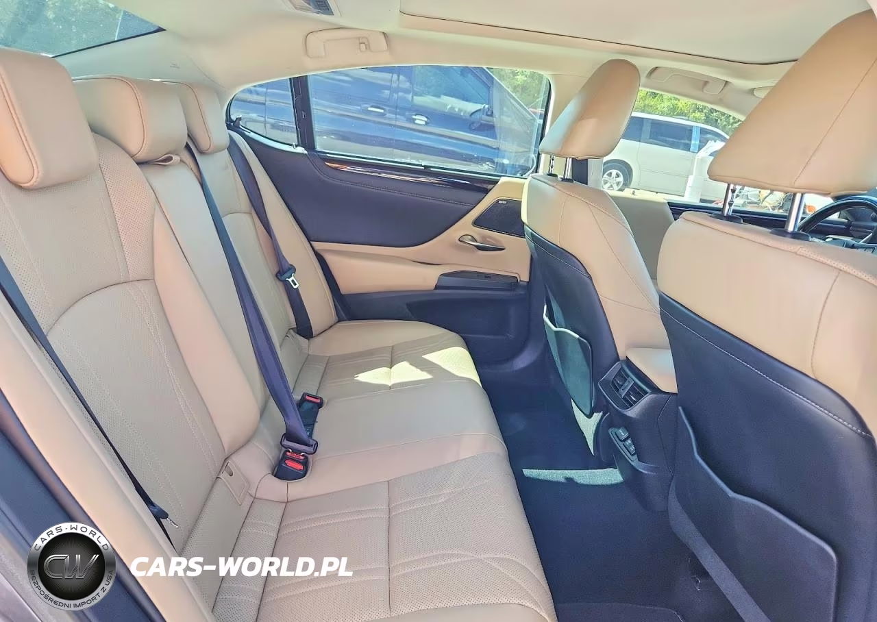 2019 Lexus Es 350 VIN:58ABZ1B13KU030118 - 10