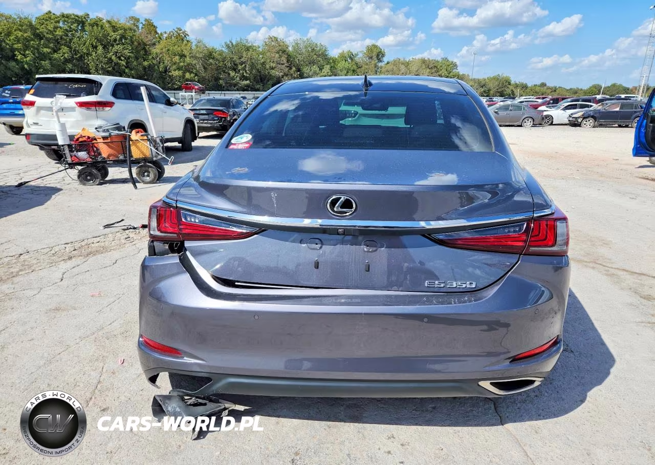 2019 Lexus Es 350 VIN:58ABZ1B13KU030118 - 6