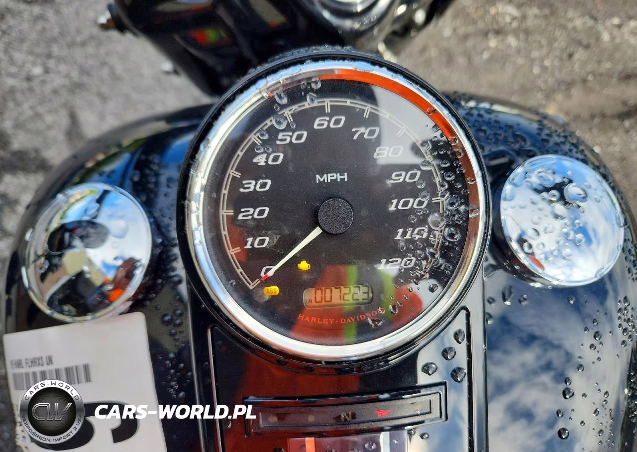 2019 Harley-Davidson Flhrxs VIN:1HD1KVP13KB679228 - 7