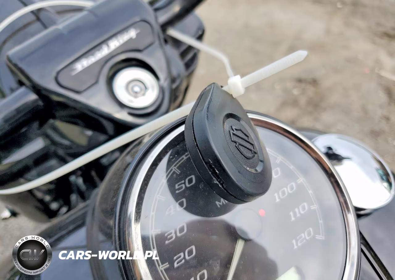 2019 Harley-Davidson Flhrxs VIN:1HD1KVP13KB679228 - 8