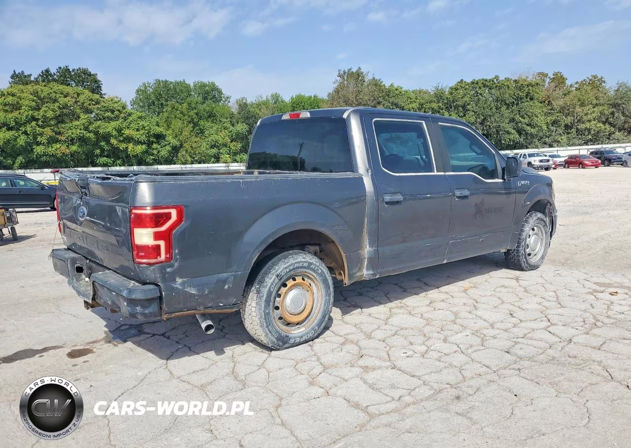 2018 Ford F150 Supercrew VIN:1FTEW1CBXJKE44256 - 3