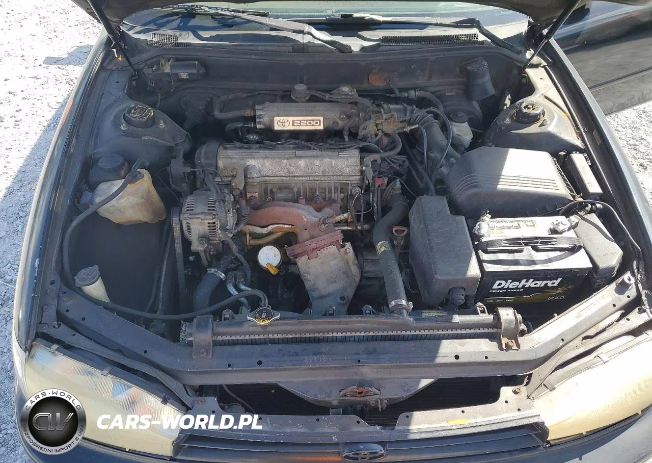 1994 Toyota Camry Le VIN:4T1SK12EXRU441282 - 11