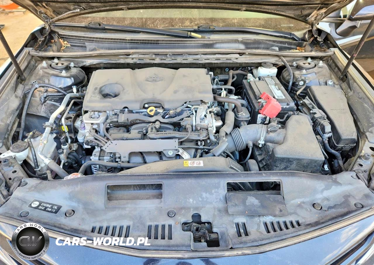 2019 Toyota Camry Se VIN:4T1B11HK4KU248583 - 11