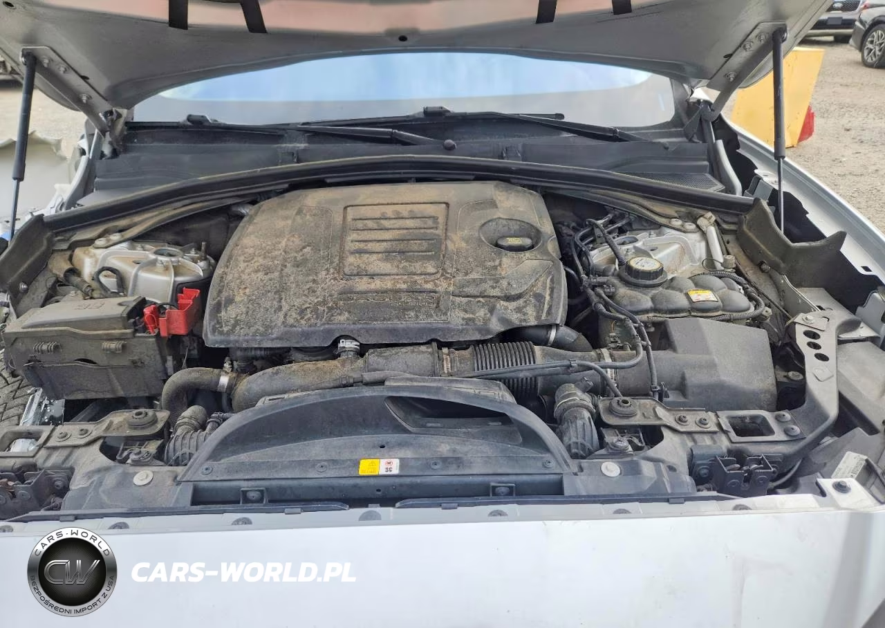 2019 Jaguar F-Pace Prestige VIN:SADCK2GX4KA390981 - 12