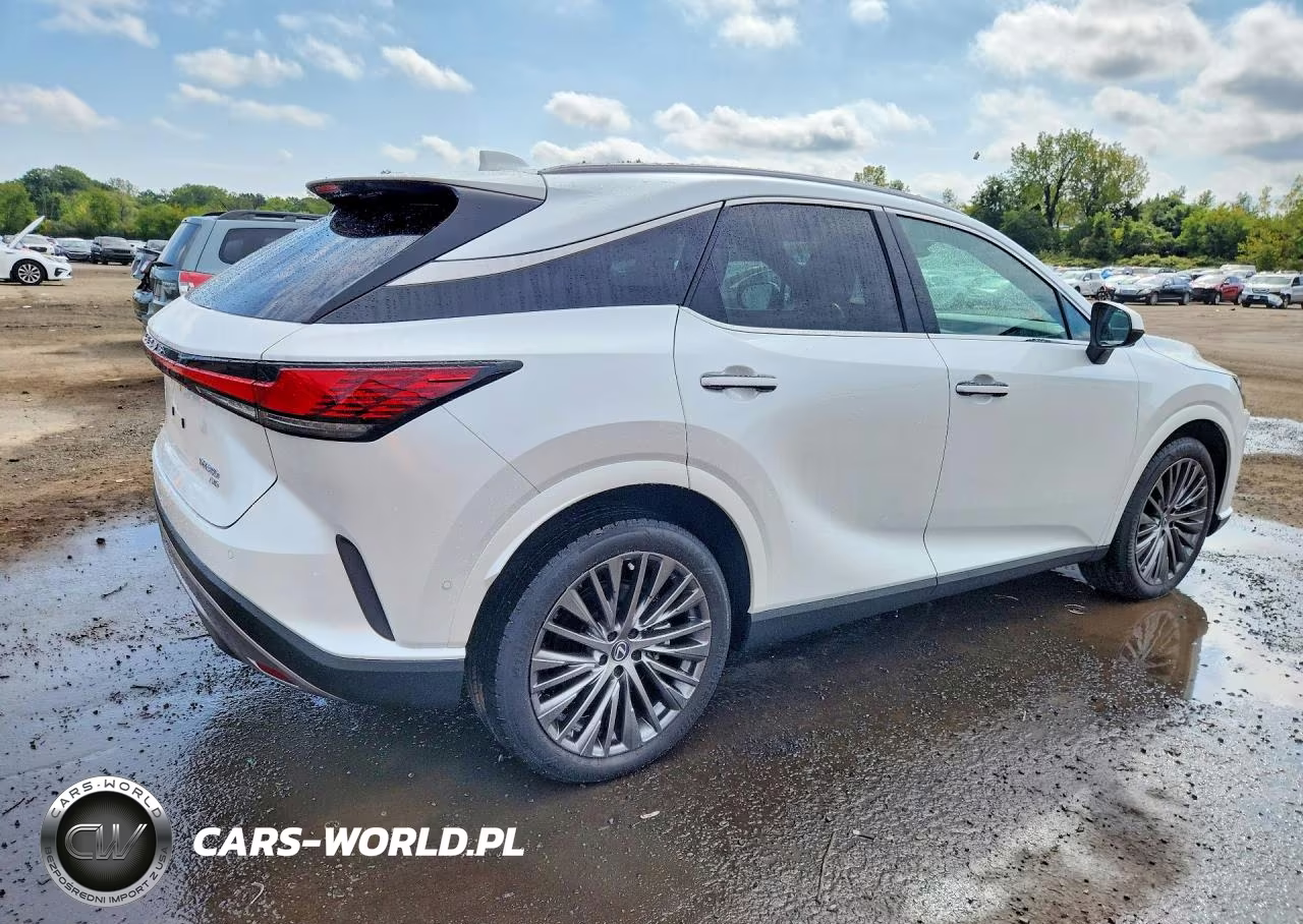 2024 Lexus Rx 350 Luxury VIN:2T2BAMCAXRC046192 - 3