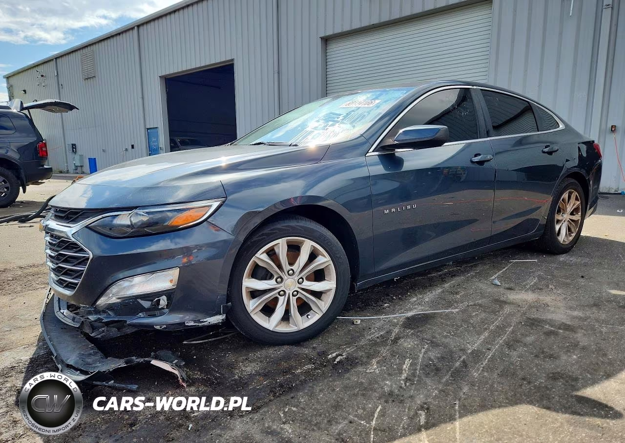 2019 Chevrolet Malibu Lt VIN:1G1ZD5ST8KF166095 - 1