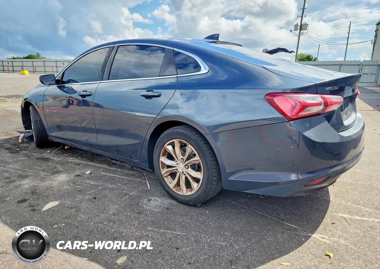 2019 Chevrolet Malibu Lt VIN:1G1ZD5ST8KF166095 - 2