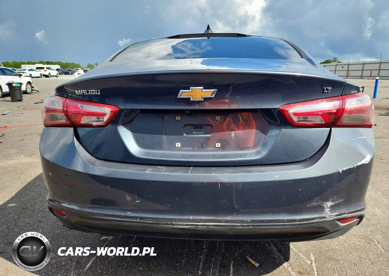 2019 Chevrolet Malibu Lt VIN:1G1ZD5ST8KF166095 - 6