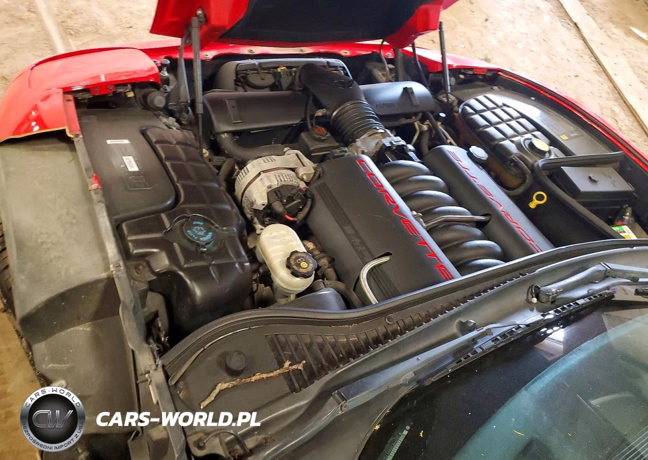 1999 Chevrolet Corvette VIN:1G1YY22G4X5101064 - 11