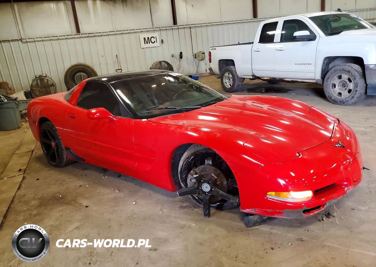 1999 Chevrolet Corvette VIN:1G1YY22G4X5101064 - 4