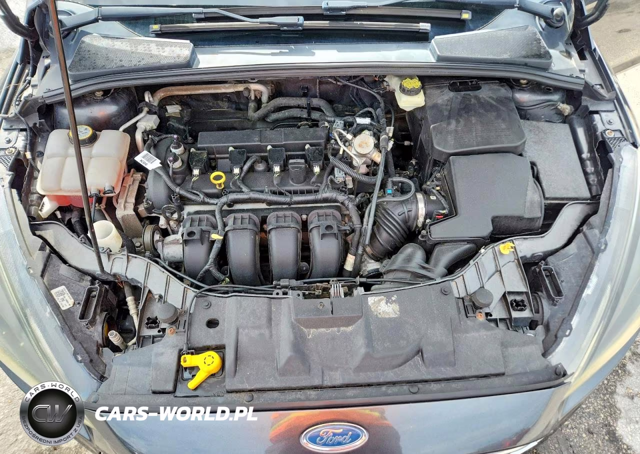 2017 Ford Focus Sel VIN:1FADP3H22HL218817 - 11