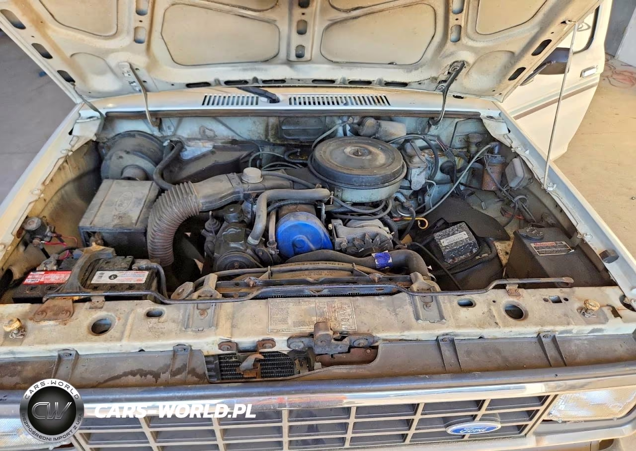 1983 Ford Ranger VIN:1FTBR10C6DUC45558 - 11