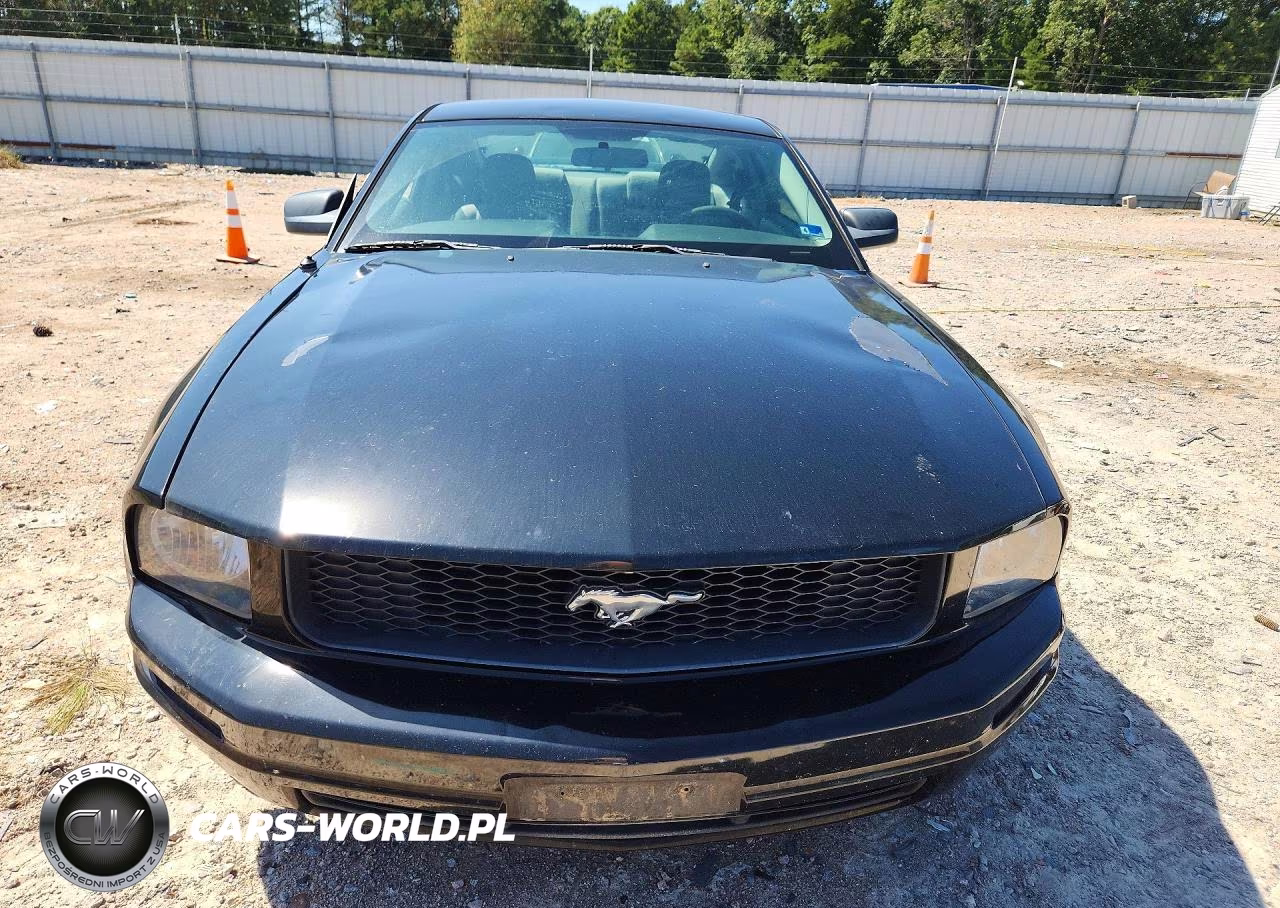 2008 Ford Mustang VIN:1ZVHT80N685109160 - 5