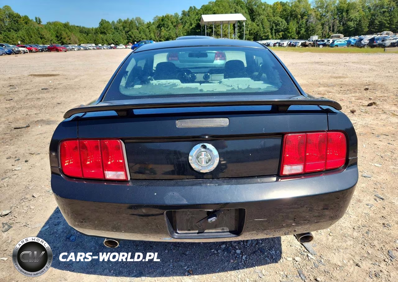 2008 Ford Mustang VIN:1ZVHT80N685109160 - 6