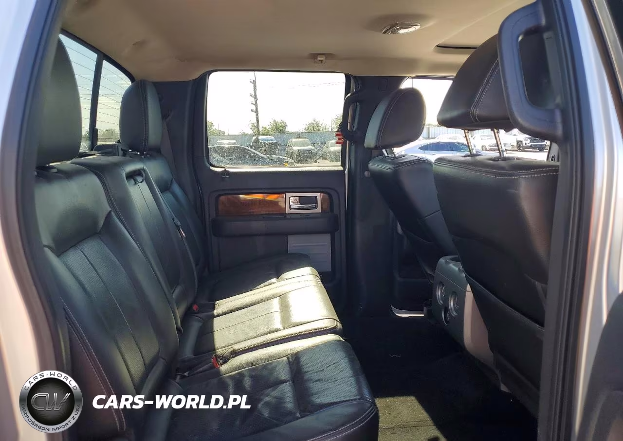 2010 Ford F150 Supercrew VIN:1FTFW1EV1AFB67338 - 10