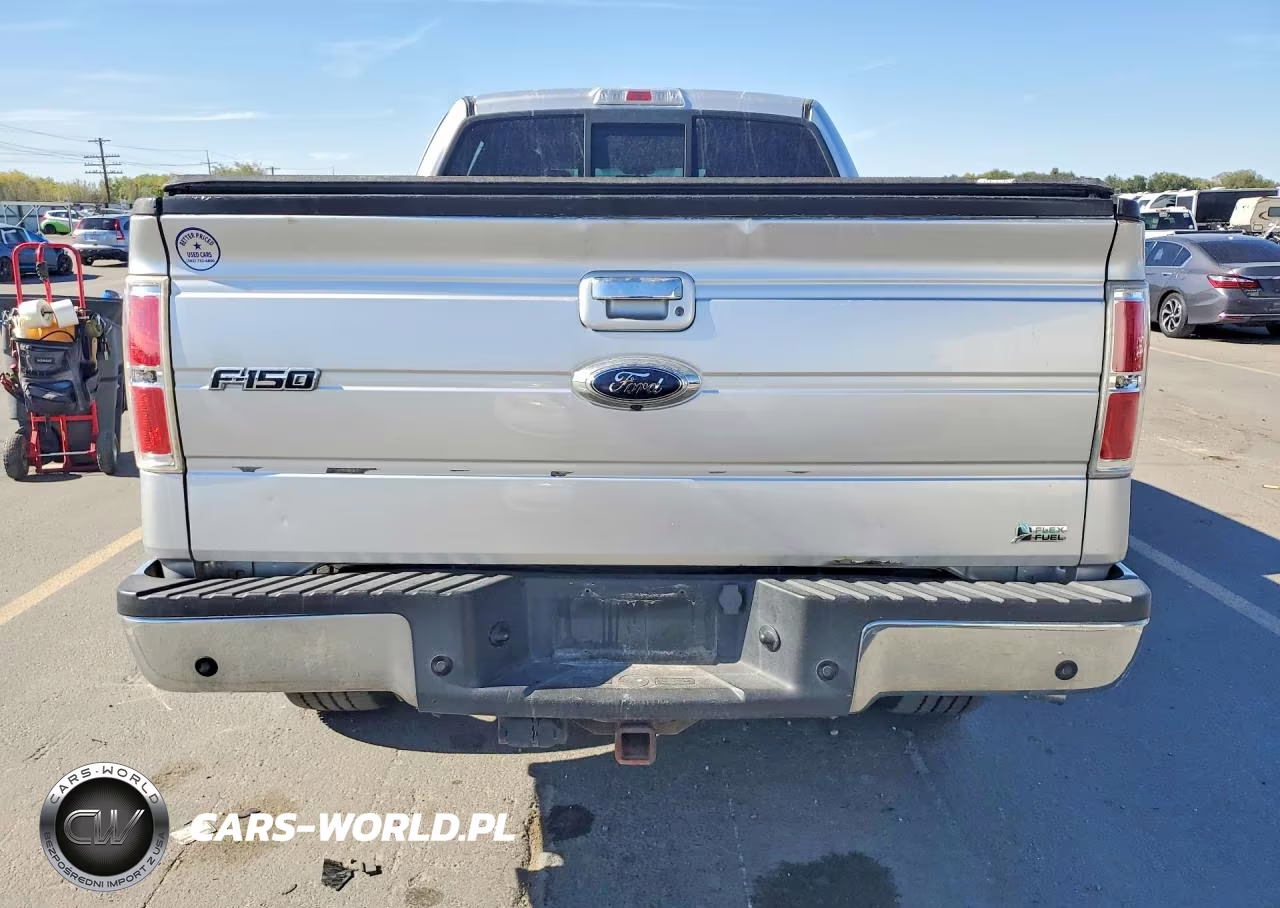 2010 Ford F150 Supercrew VIN:1FTFW1EV1AFB67338 - 6