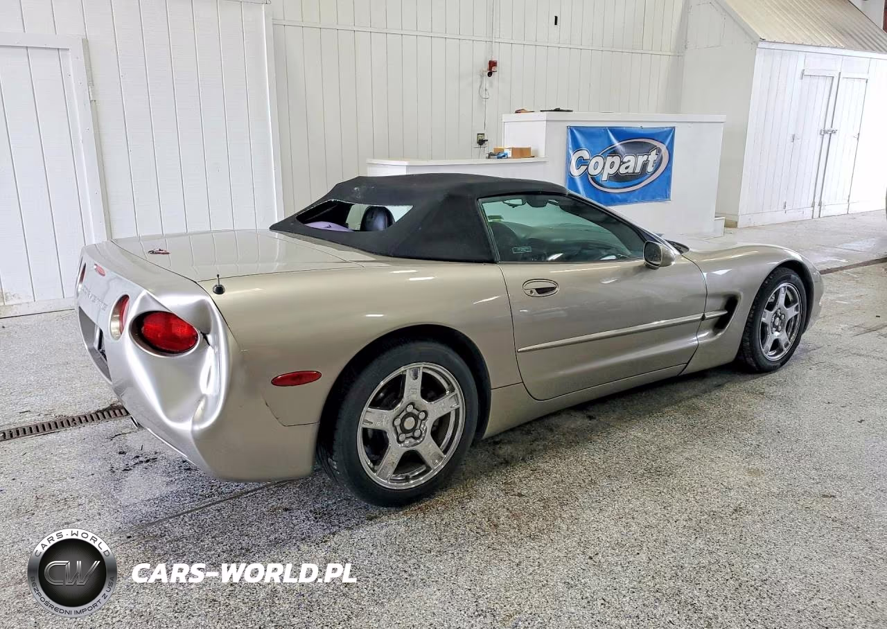 1998 Chevrolet Corvette VIN:1G1YY32G6W5119375 - 3