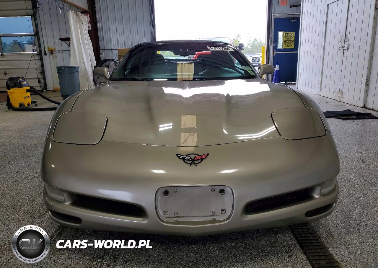 1998 Chevrolet Corvette VIN:1G1YY32G6W5119375 - 5