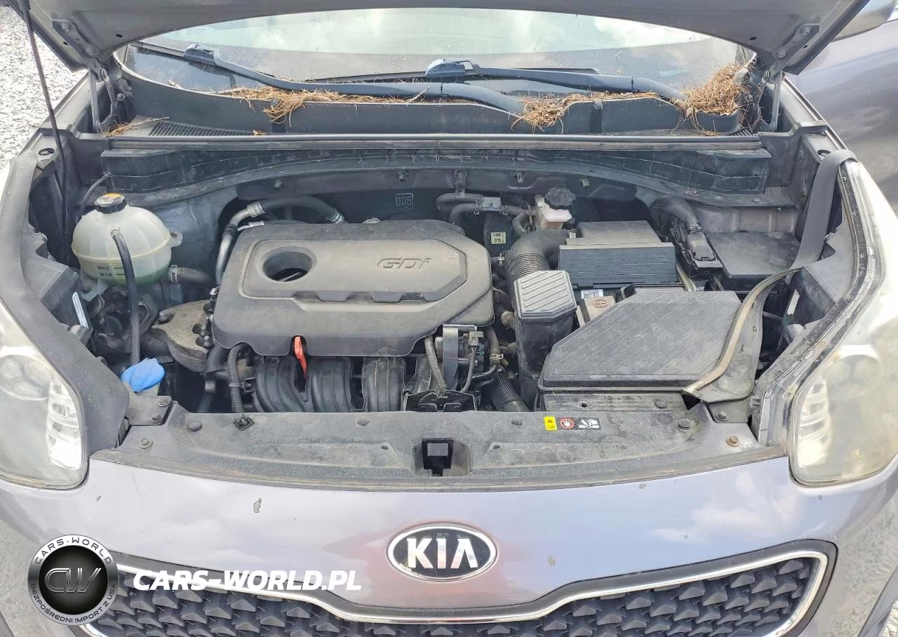 2019 Kia Sportage Lx VIN:KNDPM3AC2K7494837 - 12