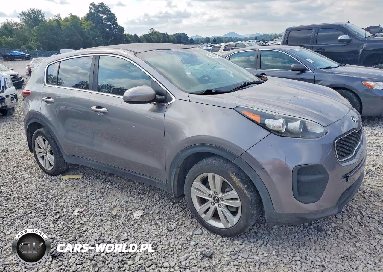 2019 Kia Sportage Lx VIN:KNDPM3AC2K7494837 - 4
