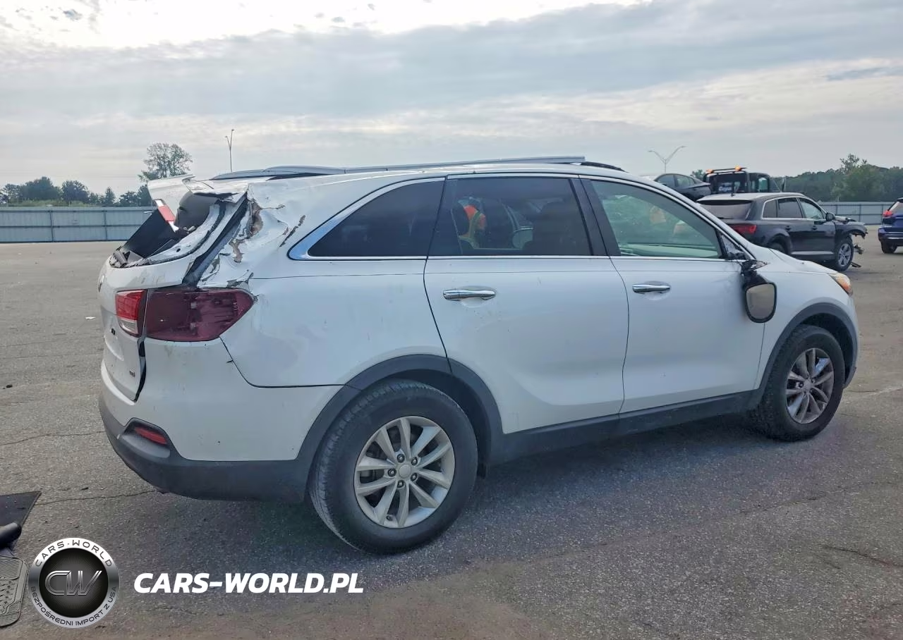 2016 Kia Sorento Lx VIN:5XYPG4A31GG008221 - 3