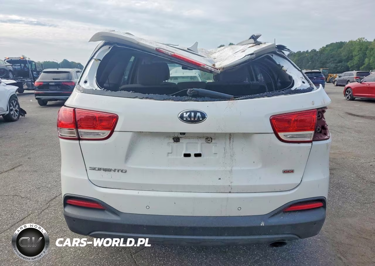 2016 Kia Sorento Lx VIN:5XYPG4A31GG008221 - 6