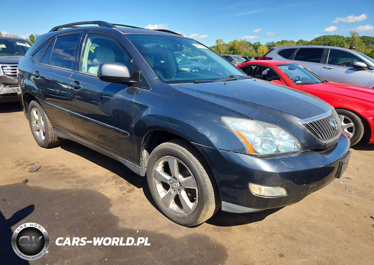 2004 Lexus Rx 330 VIN:JTJHA31U740048570 - 4
