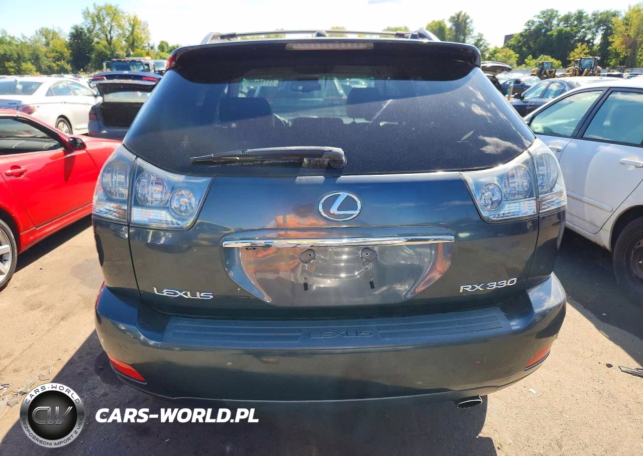2004 Lexus Rx 330 VIN:JTJHA31U740048570 - 6