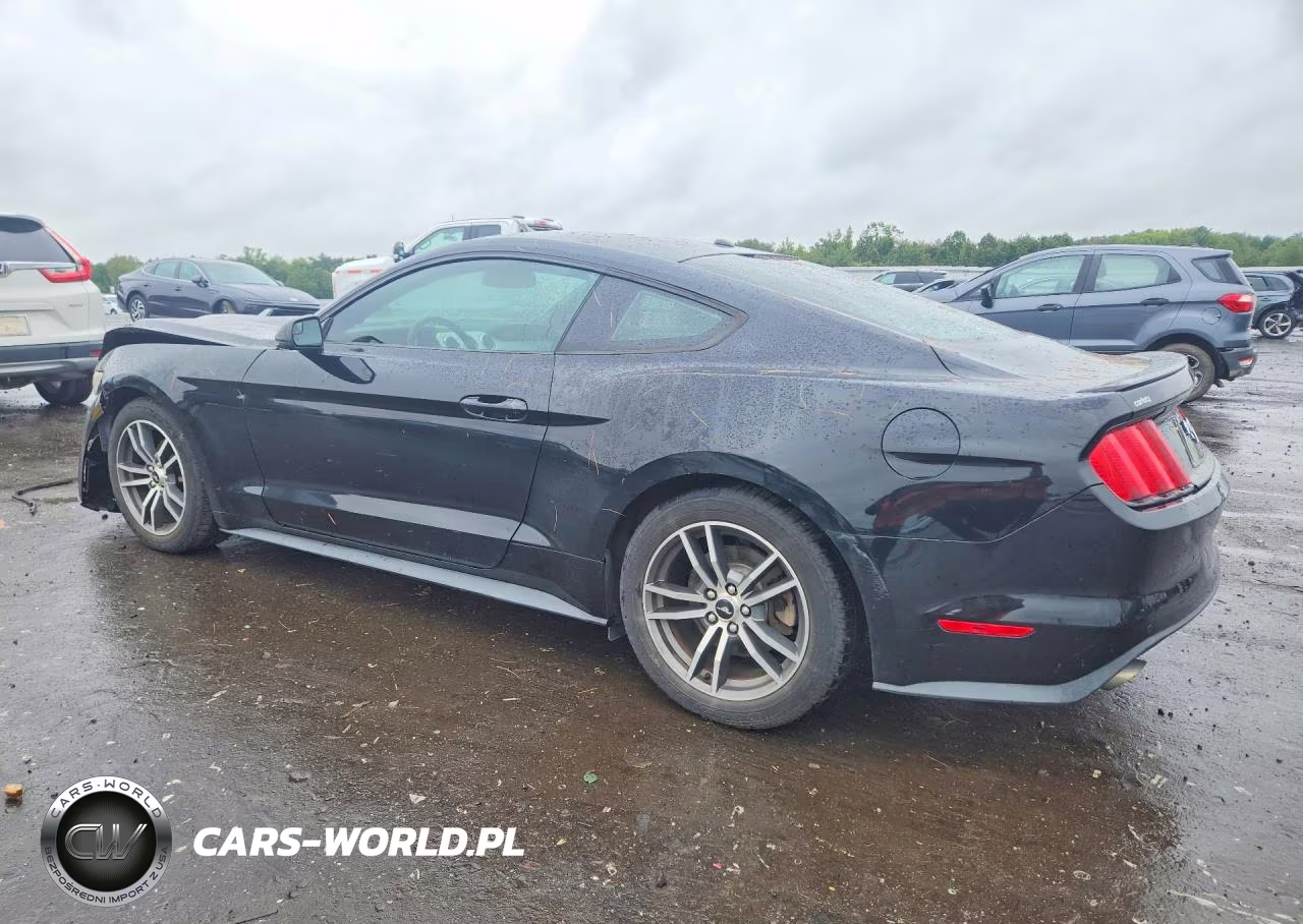 2015 Ford Mustang VIN:1FA6P8TH2F5419961 - 2