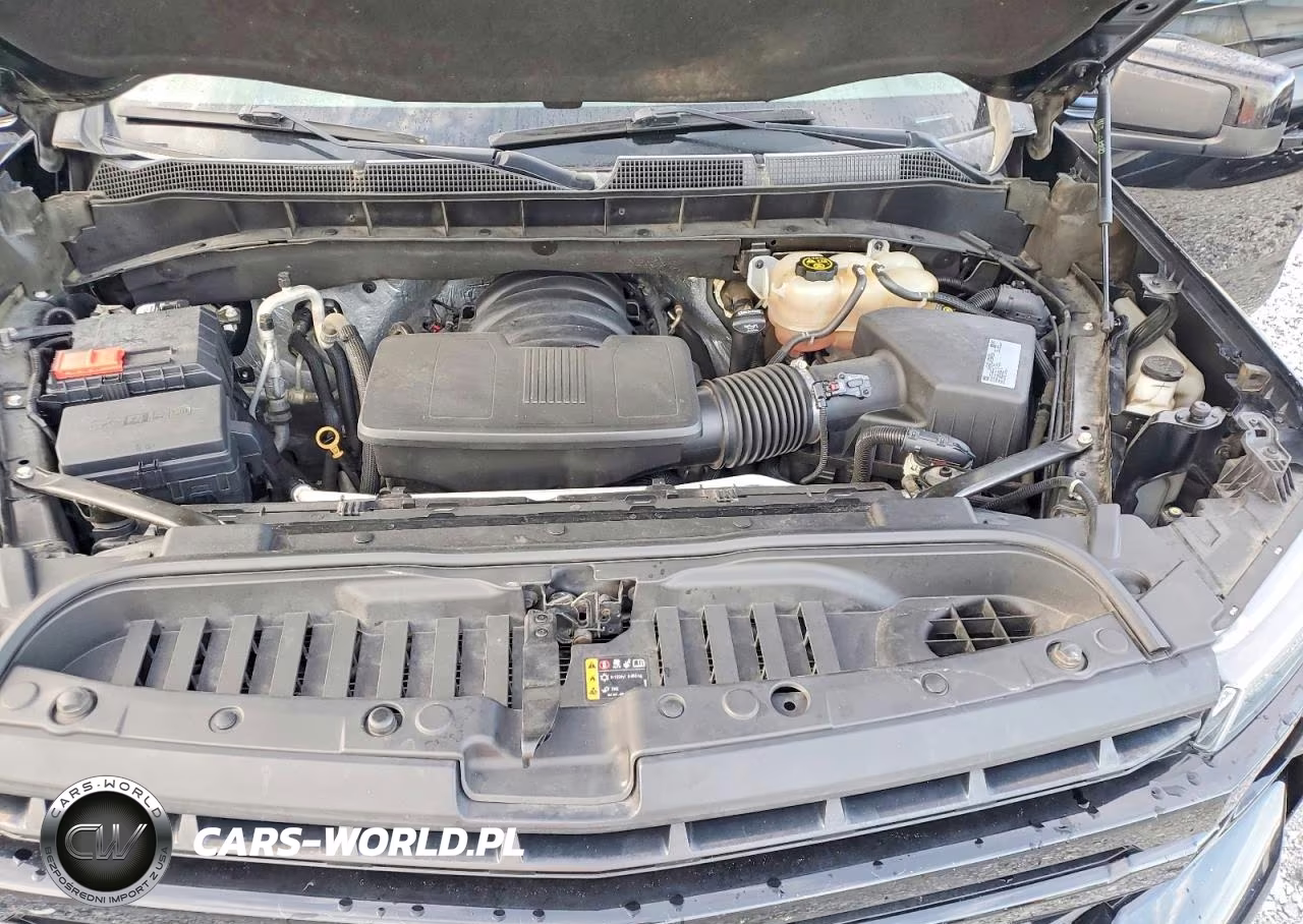 2020 Chevrolet Silverado K1500 Lt Trail Boss VIN:3GCPYFED1LG299732 - 11