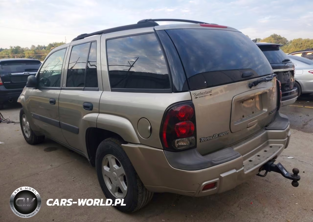 2003 Chevrolet Trailblazer VIN:1GNDS13S332212387 - 2